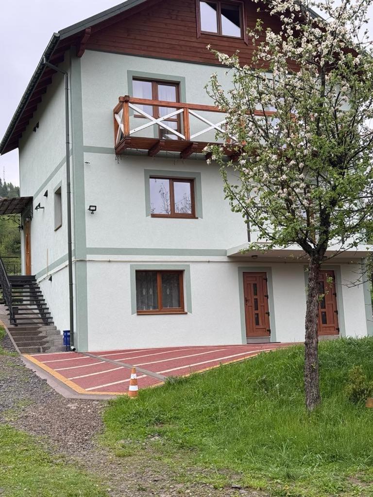 Золота Рибка Villa Slavsko Exterior foto